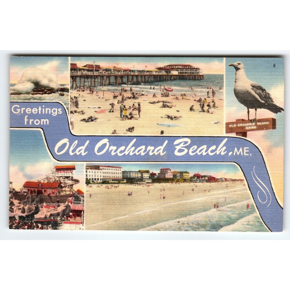Greetings From Old Orchard Maine 1950's Postcard Seagull Beach Linen Vintage